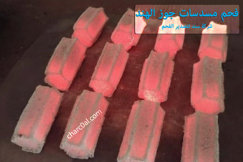 فحم مسدسات جوز الهند