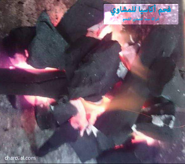 فحم أكاسيا للمشاوي