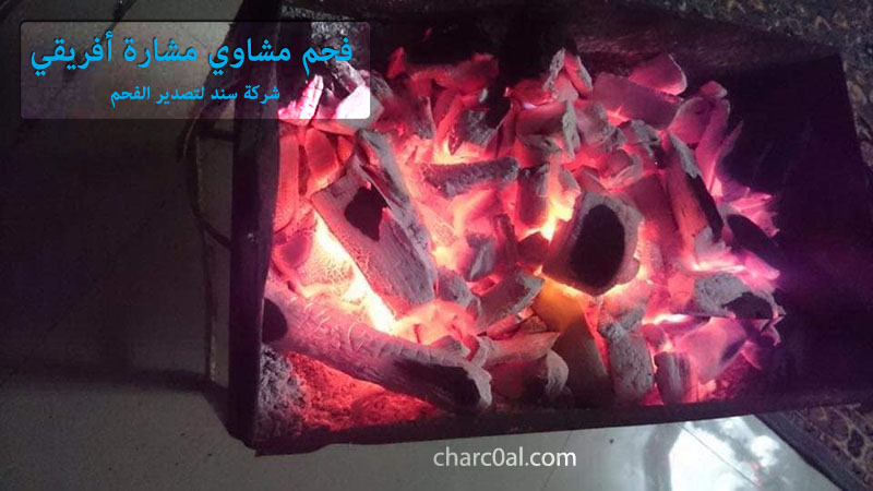 فحم مشاوي مشارة أفريقي