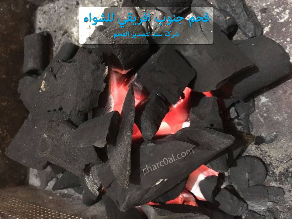 فحم جنوب افريقي للشواء