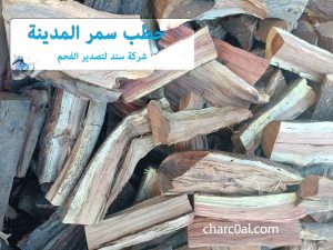 حطب سمر المدينة