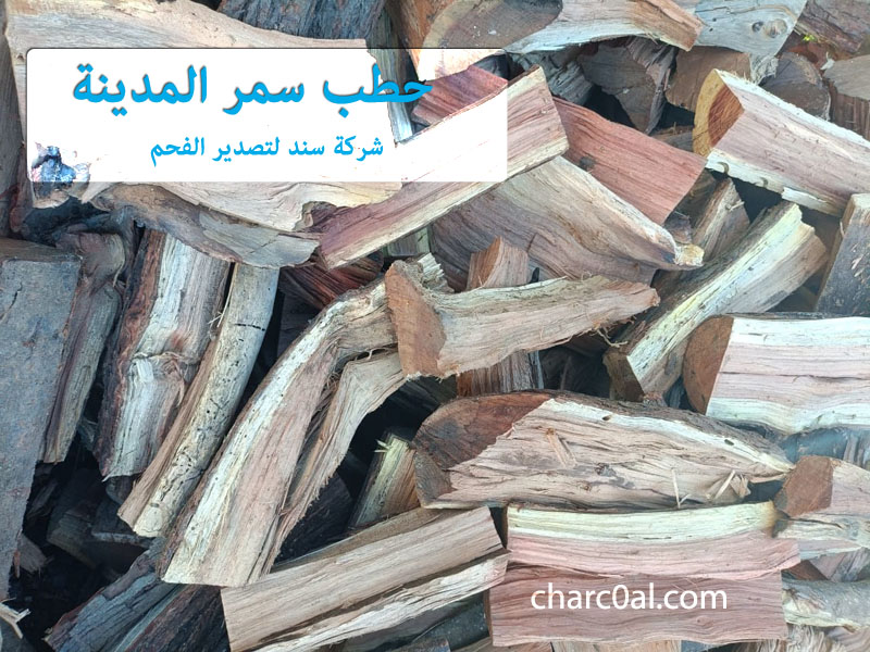 حطب سمر المدينة