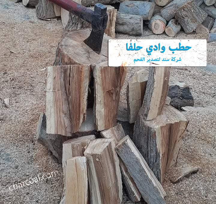 حطب وادي حلفا