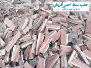 حطب سنط احمر أفريقي