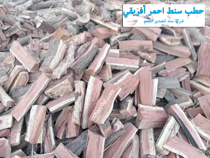 حطب سنط احمر أفريقي