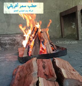 حطب سمر أفريقي