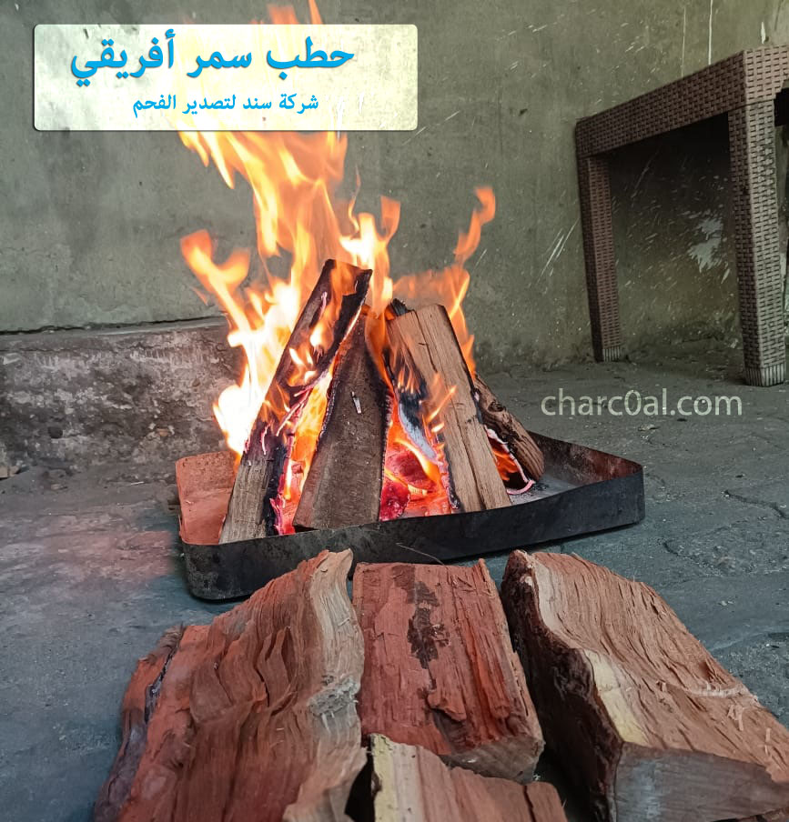 حطب سمر أفريقي