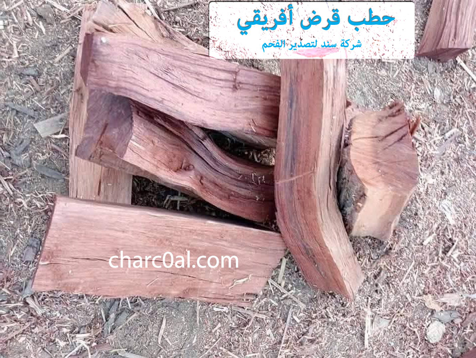 حطب قرض أفريقي