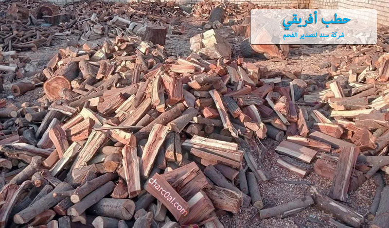 حطب أفريقي
