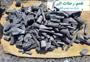 فحم رحلات البر
