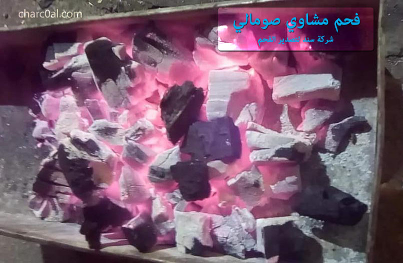 فحم مشاوي صومالي