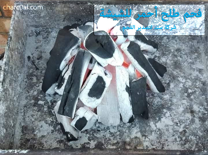 فحم طلح أحمر للشيشة